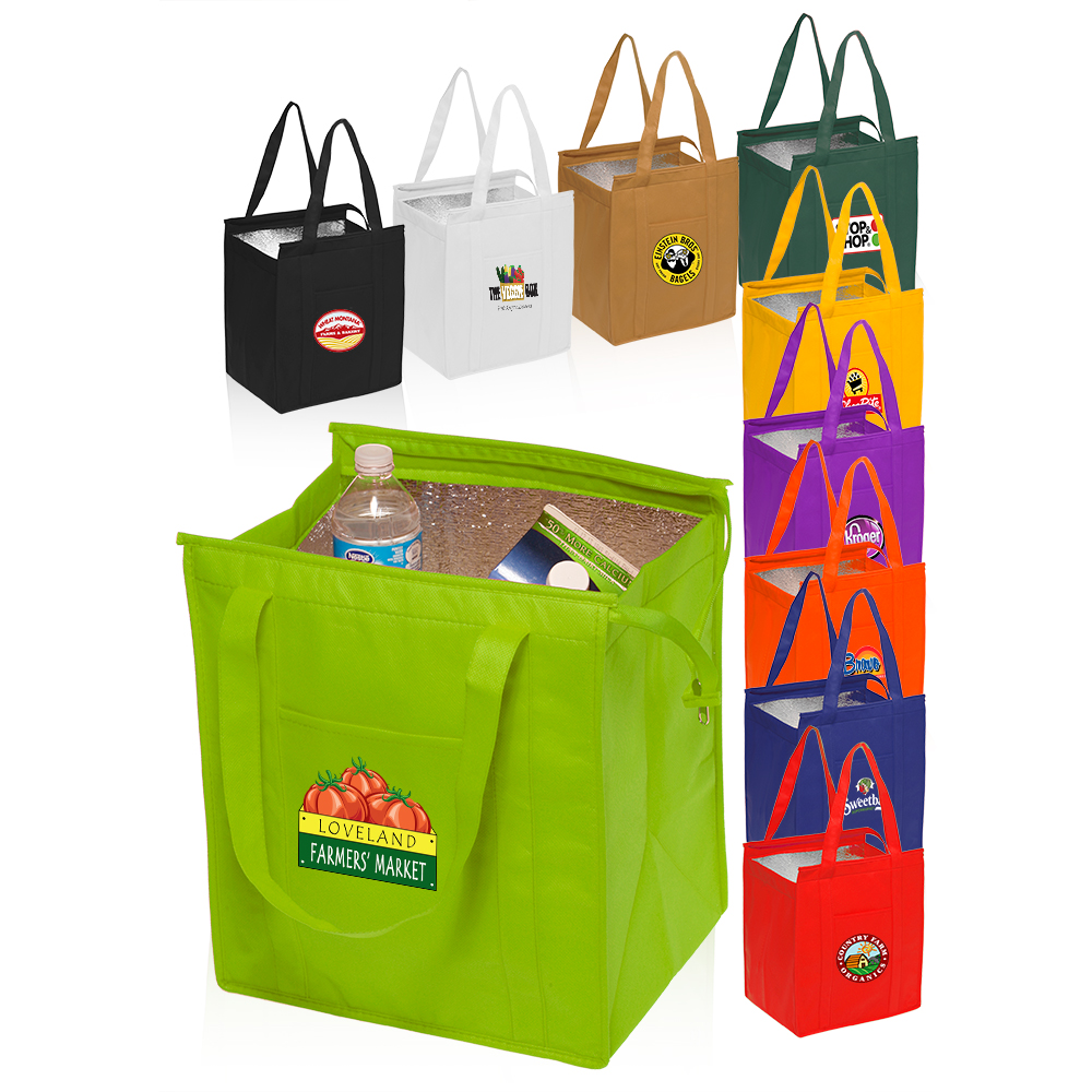 Publix Reusable Grocery Insulated Cooler/Hot Bag Nature Birds 13x13x7 multicolor 